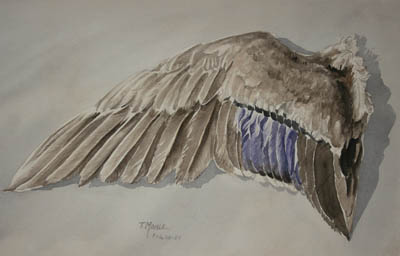 Drawing by Ted Mahle &mdash; image 37 of 75